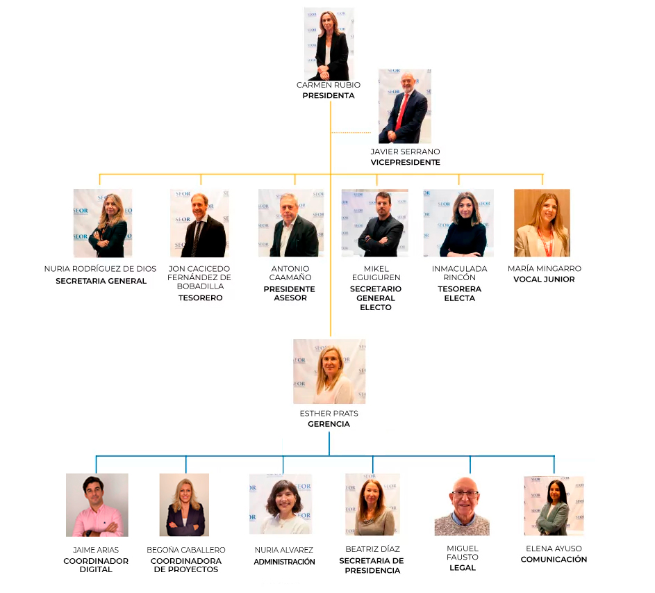 organigrama_seor_2025_2